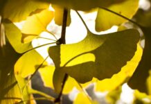 Zdravé Zprávy: Články od 22.5. do 28.5. 2023 Zdrave_Zpravy