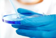 Nejlepší embryo při IVF vybere umělá inteligence embryo