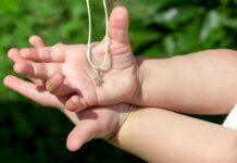 Křty se vracejí do starých kolejí, ukazují data ČBK krtu