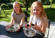 Řasokoule se staly hitem. A vydrží i sto let rasokoule