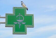 Léky na eRecept v cizině si lidé nejdříve zaplatí v_cizine