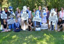 NRDZ vyzvala kraje k hlubší spolupráci na psychiatrické péči NRDZ