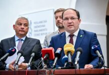 Kratom a HHC vláda nezakáže, ale zreguluje jejich prodej kratom