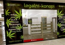 Vobořil, Piráti a obchodníci spojili síly. Postavili se za kratom kratom