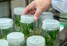 Prague.bio představí nové biotechnologie investorům prague.bio