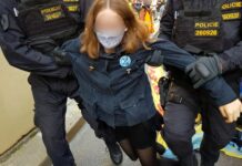 Policie tajně využívá umělé inteligence ke šmírování, tvrdí piráti Policie