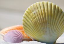 Zdravé Zprávy: Přehled článků od 24.7. do 30.7. 2023 Zdrave_zpravy