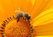 Zdravé Zprávy: Přehled článků od 14.8. do 20.8. 2023 Zdrave_zpravy