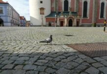 Zdravé Zprávy: Články od 3.7. do 9.7. 2023 Zdrave_Zpravy