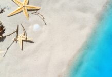 Zdravé Zprávy: Přehled článků od 31.7. do 6.8. 2023 Zdrave_zpravy