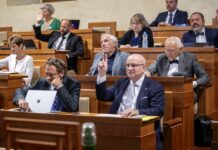 Senátní ústavně-právní výbor odmítl Istanbulskou úmluvu istanbulskou