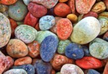 Zdravé Zprávy: Přehled článků od 17.7. do 23.7. 2023 Zdrave_zpravy