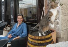 Džbán ledové vody a žabky k tomu? Zpomalte, Američané Americane