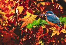 Zdravé Zprávy: Přehled článků od 2.10. do 8.10. 2023 Zdrave_zpravy