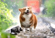 Zdravé Zprávy: Články od 6.11. do 12.11. 2023 zdrave_zpravy