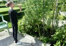 Adiktologové i dětští praktici odmítají komercializaci konopí konopi