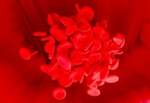 Čeští vědci přišli na genové mutace, jež přispívají k rozvoji leukémie leukemie