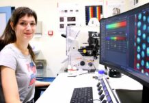 Genová technologie pomohla při sledování buněk obilovin bunek