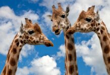 Zdravé Zprávy: Přehled článků od 16.10. do 22.10. 2023 zdrave_zpravy