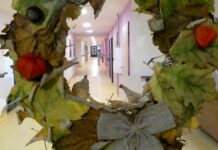 Zdravé Zprávy: Přehled článků od 20.11. do 26.11. 2023 Zdrave_Zprávy