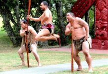 Nový Zéland: Jen dál kuřte, potřebujeme vaše peníze! Zeland