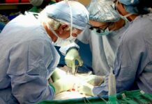 Rakovina slinivky patří mezi nejčastější zabijáky. Dá se jí i předejít slinivky