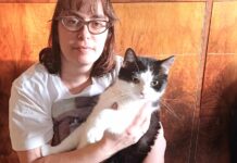 Zvířata se dožívají vyššího věku díky lepší péči, říká veterinářka zvirata