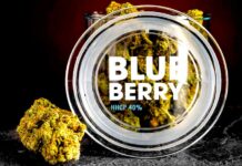 Vláda zakáže i další kanabinoidy odvozené od HHC a THC od_HHC