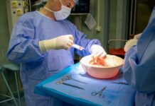 Ostravští specialisté loni provedli historicky nejvíc odběrů orgánů organu