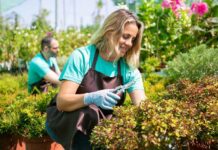 Pracující s nárokem na dávky si polepší až o tisícikoruny davky