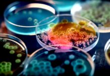 Monitoring odpadních vod efektivně chrání veřejné zdraví odpadnich_vod