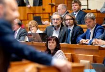 Senát chce oddlužení pro více dlužníků zdravotního pojištění senat