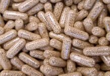 Vědci uspěli při izolaci léčivých triterpenů z přírodních zdrojů triterpenu