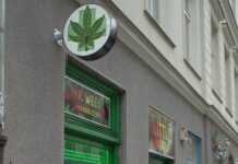 Slovensko stejně jako Česko řeší THC u dětí. Legalizaci konopí ale nechystá deti
