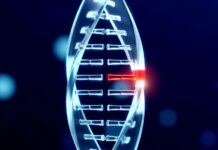 Vědci ÚOCHB zjistili, jak dostat ozdravnou RNA do narušené buňky bunky