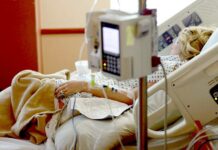 Rostou houby: Lidé si pletou masáka s halucinogenní muchomůrkou houby