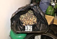 Z českého máku si narkomani vyrábí takzvané „óčko“. I to ale zabíjí maku