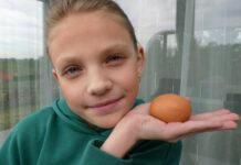 Ministerstvo nabízí detailní informace o označování potravin potravin