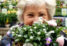 Demencí u lidí přibývá. Pokud o ní vědí, dá se zpomalit demenci