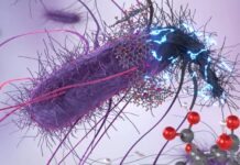 Atomární antibiotikum ničí i rezistentní bakterie, zjistili vědci z Olomouce antibiotikum