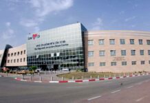 Bolest při léčbě rakoviny slinivky mírní ozařování blízkého nervu slinivky_brisni