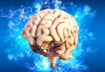 V Olomouci je druhá mozková banka v ČR. Zkoumá neurodegenerace mozkova_banka