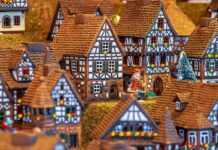 Zdravé Zprávy: Přehled článků od 11. 12. do 17.12. 2023 Zdrave_Zpravy