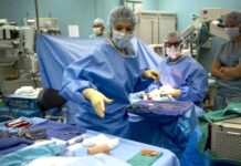 Dárcem orgánů může být v Česku i cizinec. Je to ale složitější darovani_organu