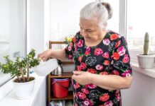 Na dotace pro sociální služby půjde příští rok 27,8 miliardy korun dotace