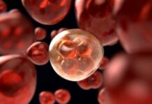 Vědci: Zánět v těle urychluje vznik a rozvoj rakoviny zanet_v_tele