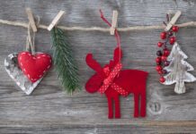 Zdravé Zprávy: Přehled článků od 18.12. do 26.12. 2023 zpravy