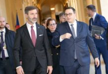 Češi a Slováci chystají dohodu o zdravotní spolupráci v příhraničí pomoci