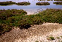 Cesta k příčině Huntingtonovy nemoci vedla přes jezero Maracaibo jezero