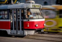 Přílišný hluk vede k obezitě, zjistili vědci v Brně v_Brne